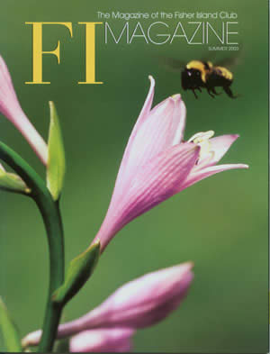 FI Magazine Cover 2003